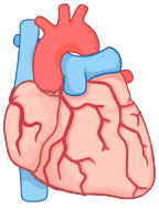 A-Level Maths: integration techniques you need to know